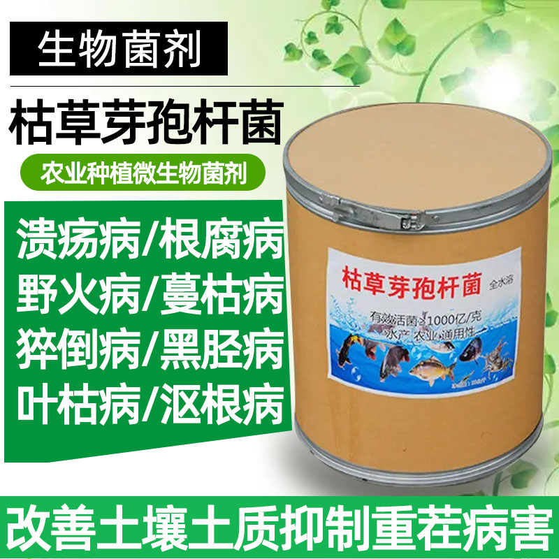 枯草芽孢杆菌1000亿 全水溶农业种植水产养殖发酵菌